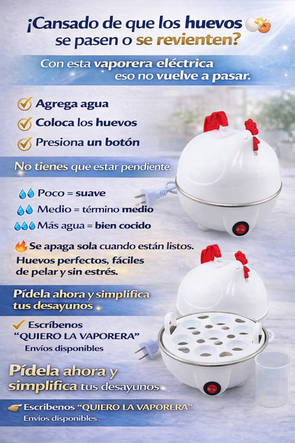 VAPORERA ELÉCTRICA PARA HUEVOS